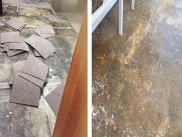 Removing Wet Floors after Flooding in Sydney
